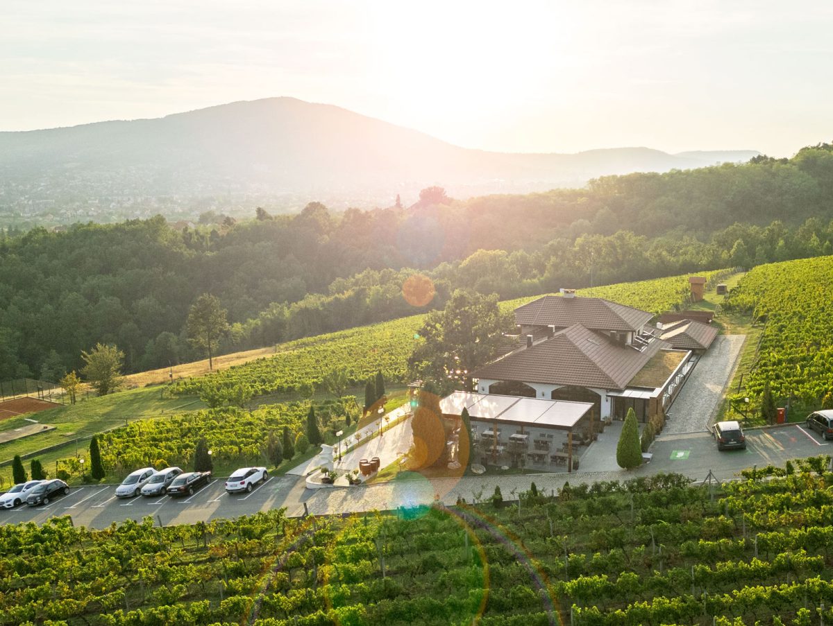 Vinarija Tarpoš i pogled na Bukulju